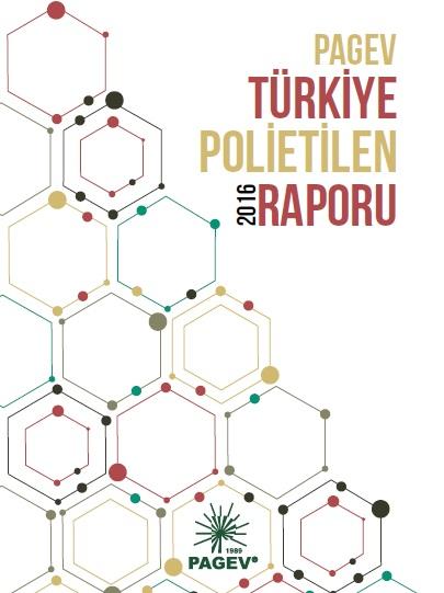 Dünya ve Türkiye Polietilen Raporu 2015