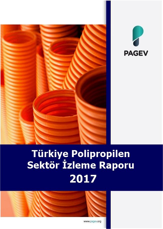 Türkiye Polipropilen Sektör İzleme Raporu 2017